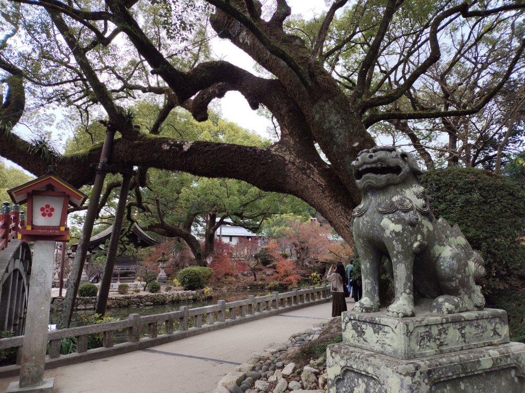 Scaled image IMG_20251211_151219.jpg 