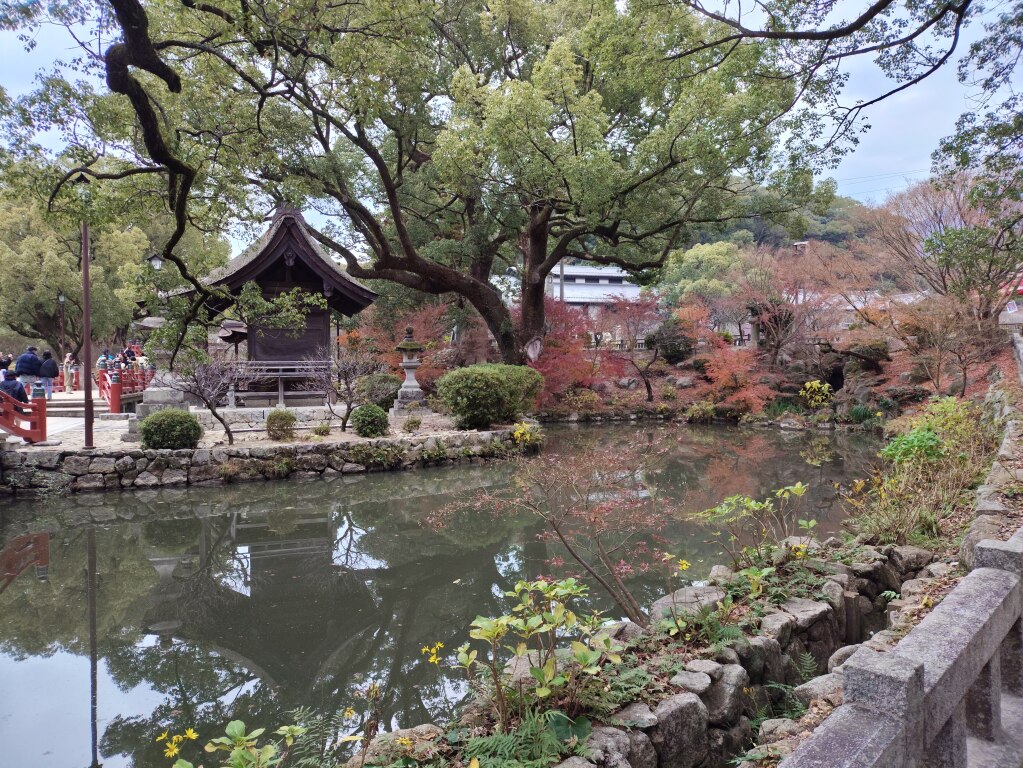 Scaled image IMG_20251211_151340.jpg 