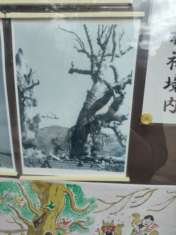 Scaled image IMG_20251212_122006.jpg 