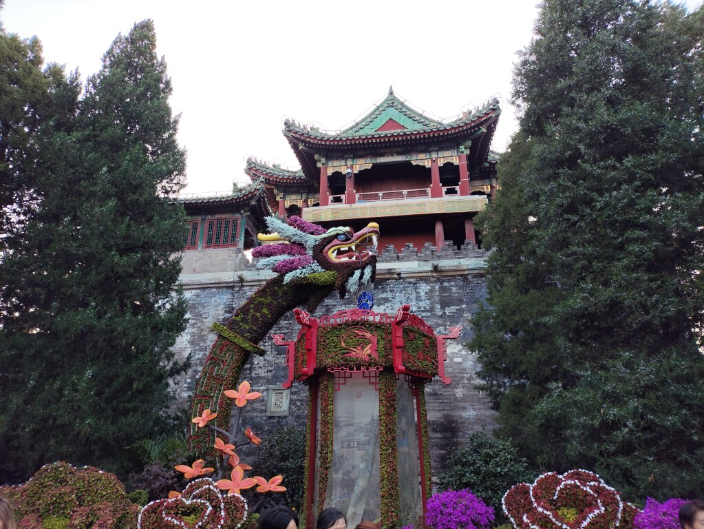 Scaled image IMG_20251013_171033.jpg 