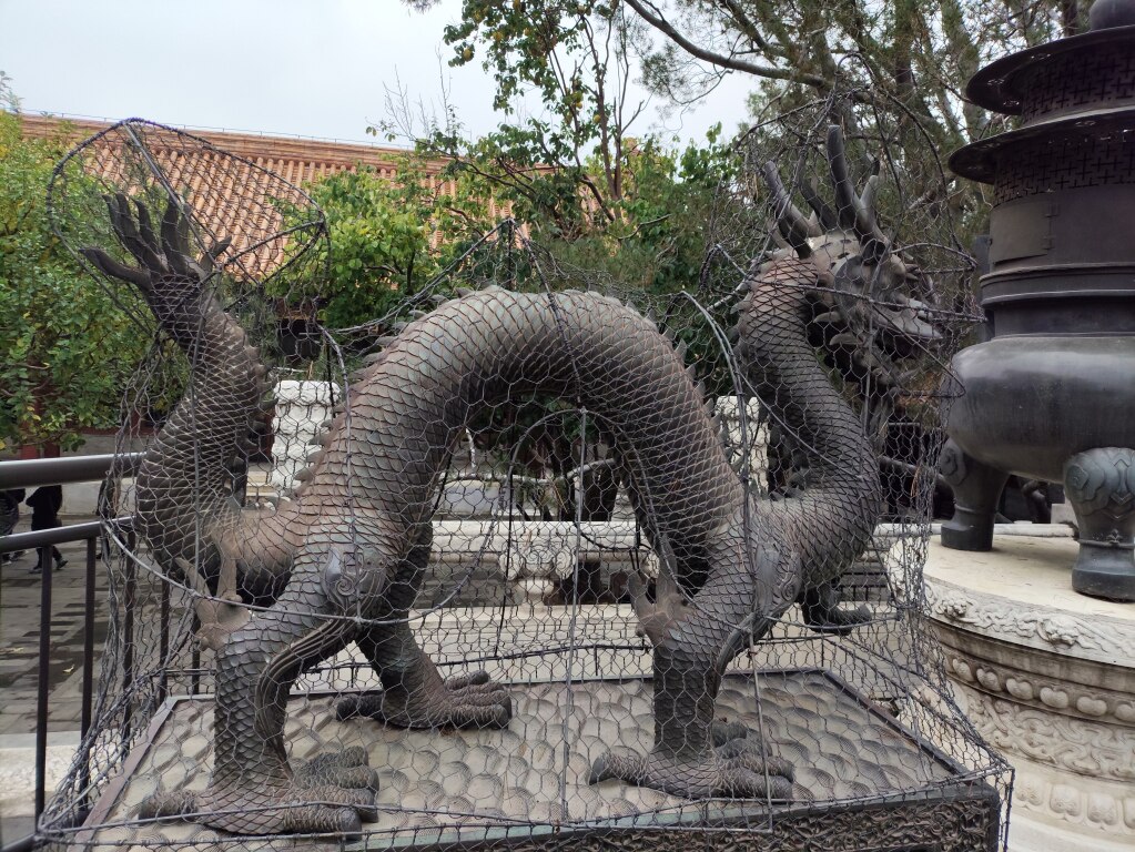 Scaled image IMG_20251016_104302.jpg 